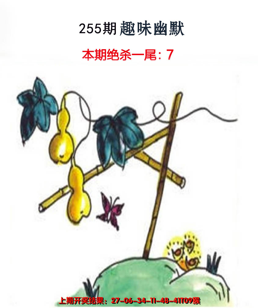 2024255期趣味幽默