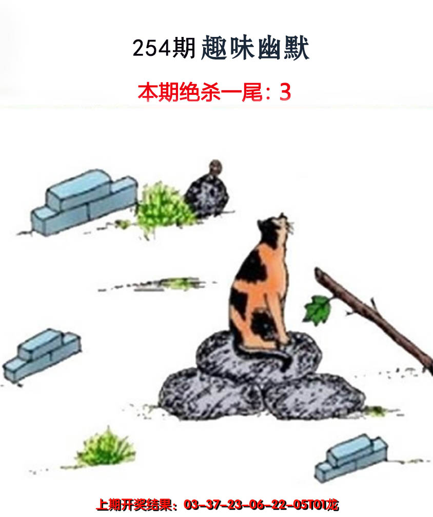 2024254期趣味幽默