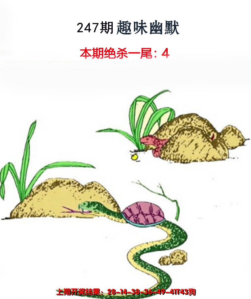 2024247期趣味幽默