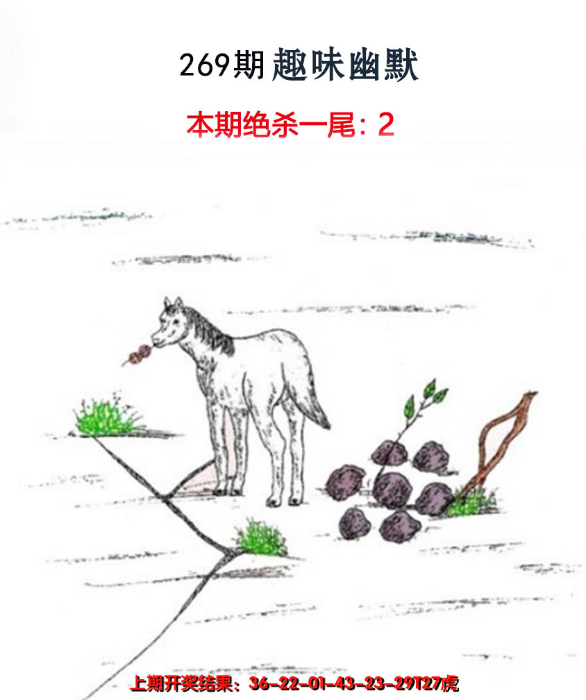 2024269期趣味幽默