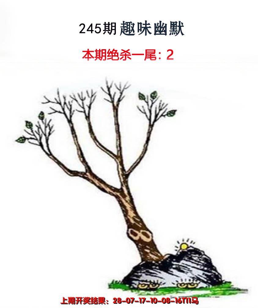 2024245期趣味幽默