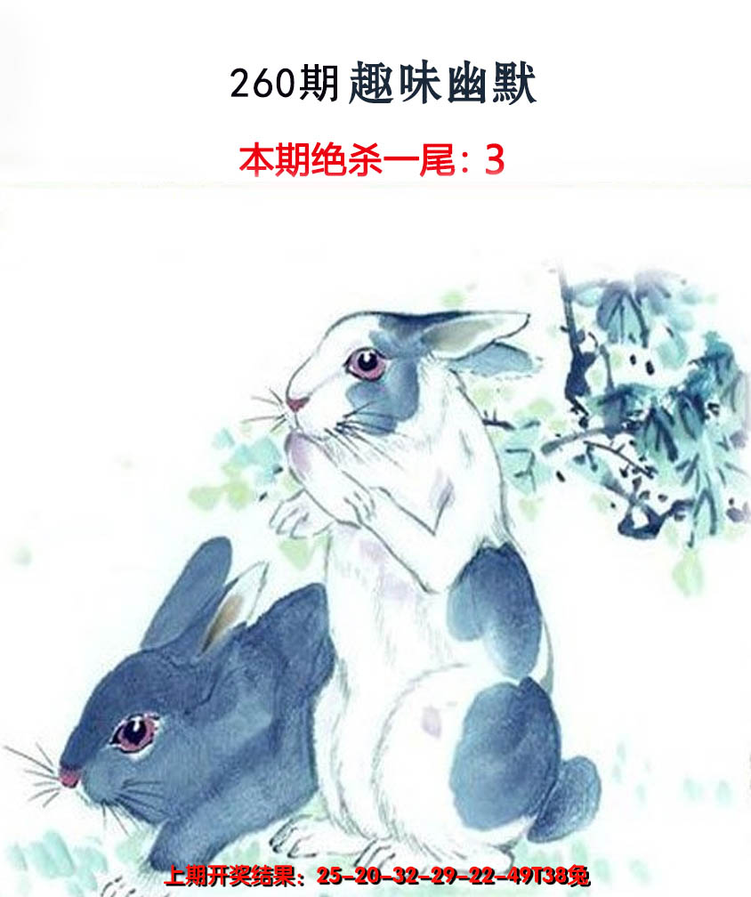 2024260期趣味幽默