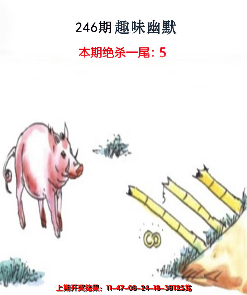 2024246期趣味幽默