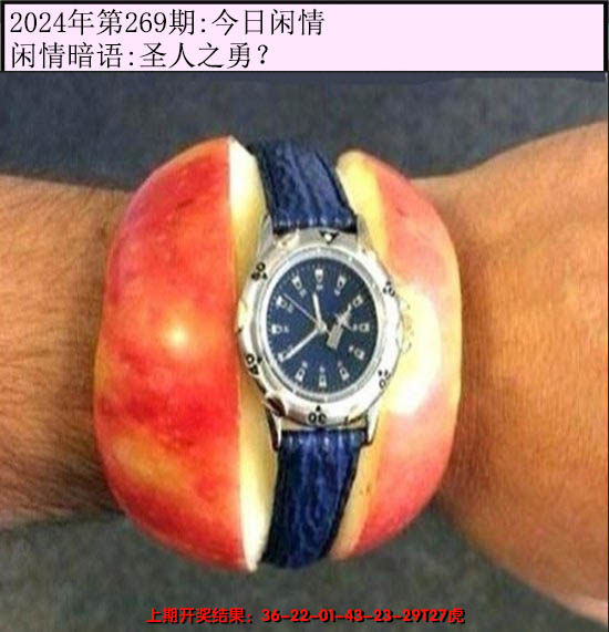 2024269期今日闲情