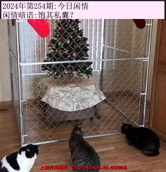 2024254期今日闲情