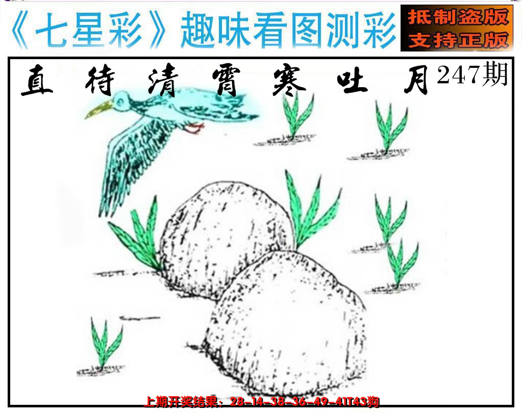 2024247期澳版七星彩图