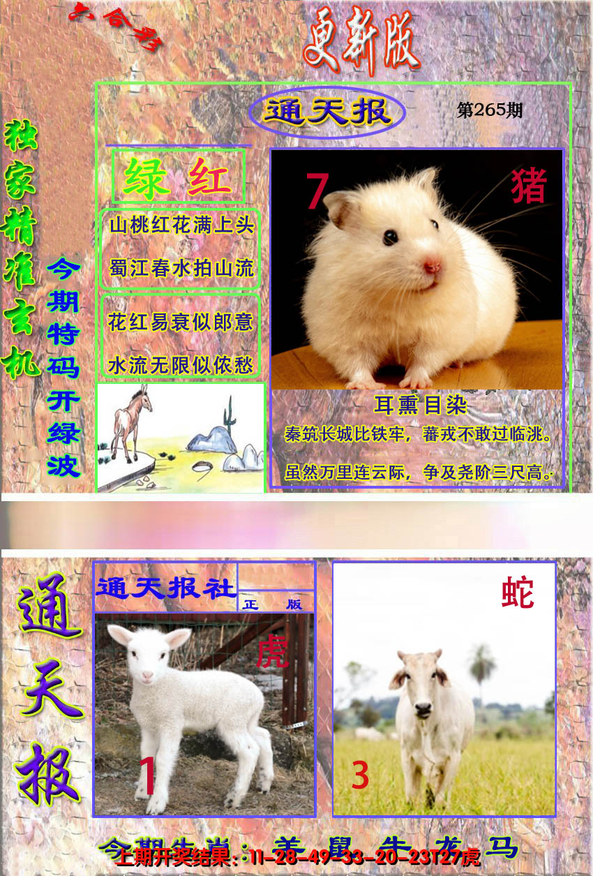 2024265期新通报