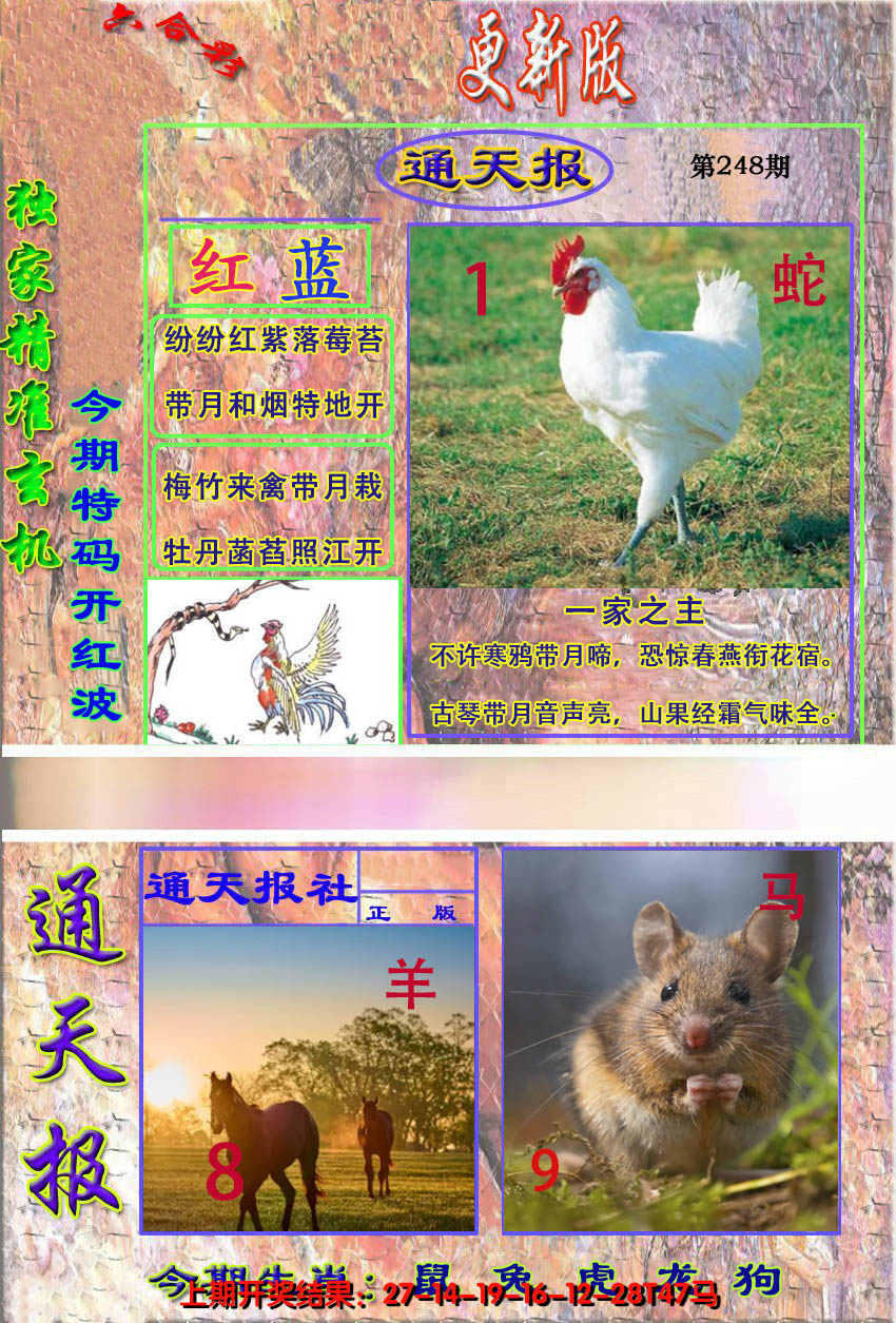 2024248期新通报