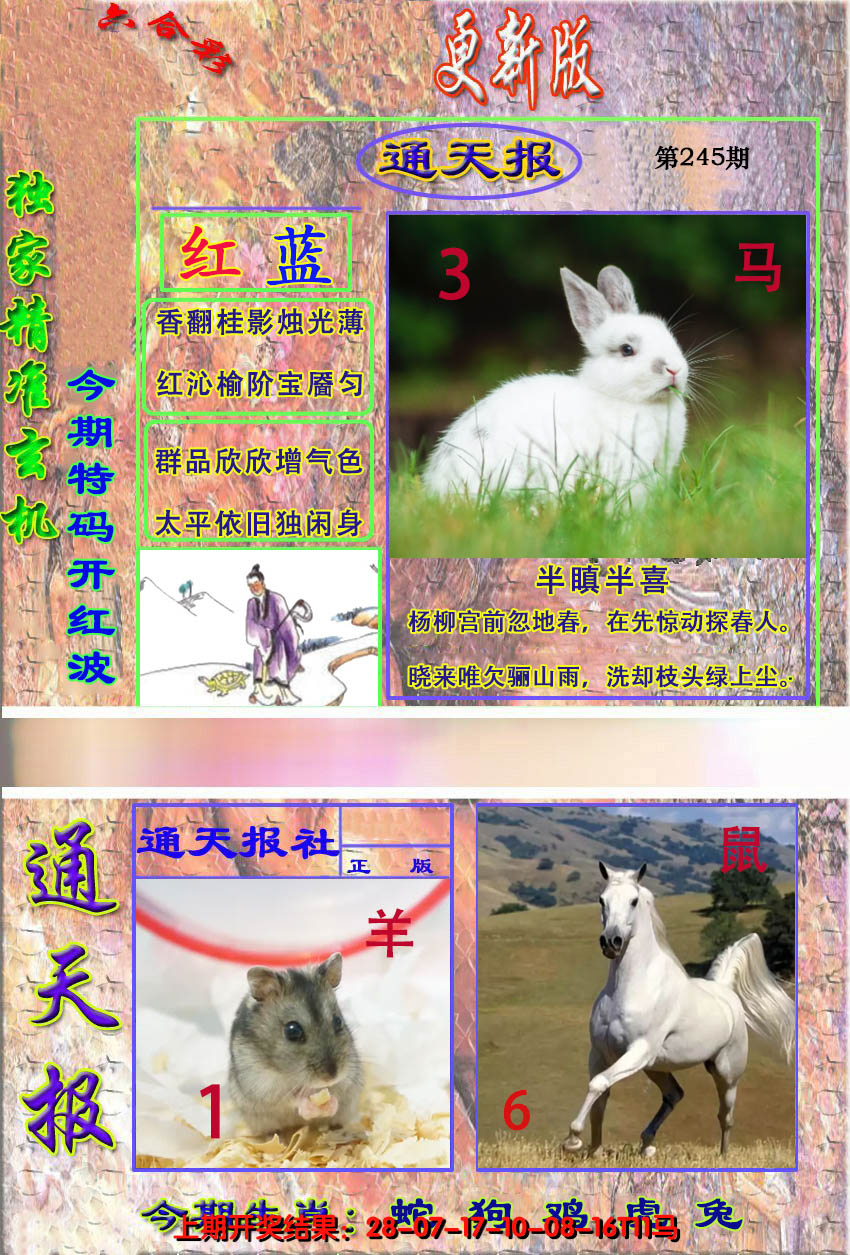 2024245期新通报