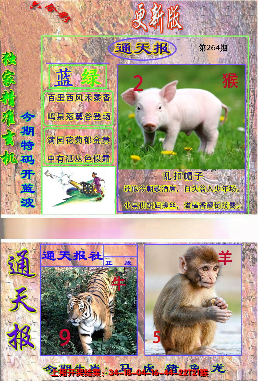 2024264期新通报