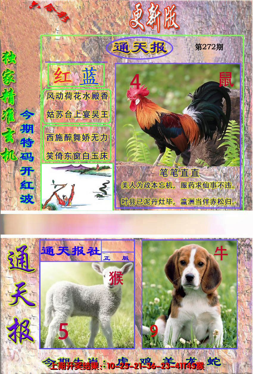 2024272期新通报