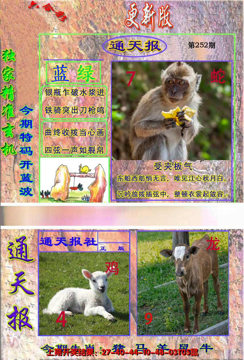 2024252期新通报
