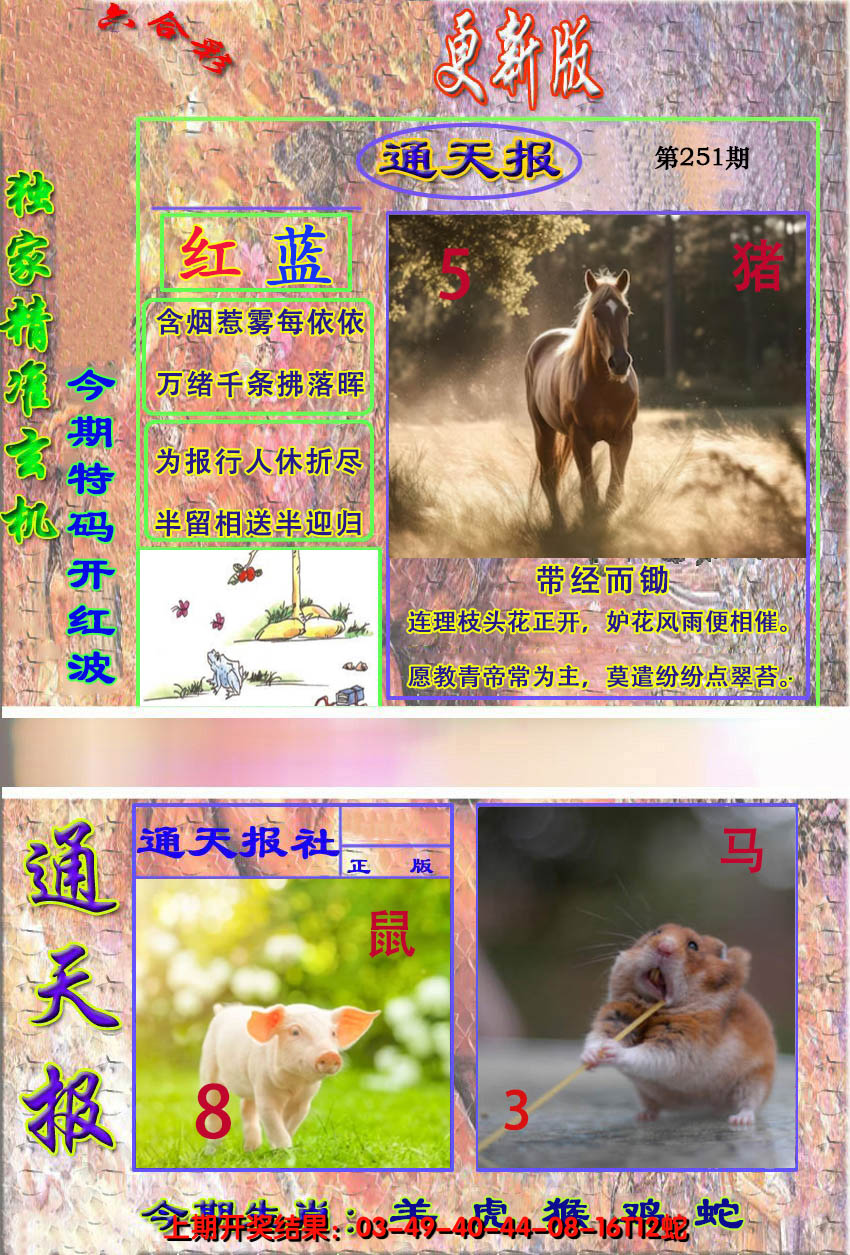 2024251期新通报