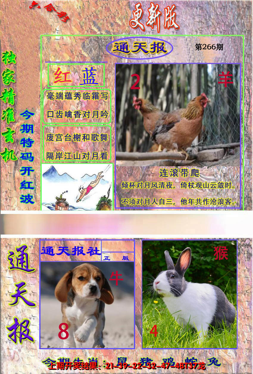 2024266期新通报