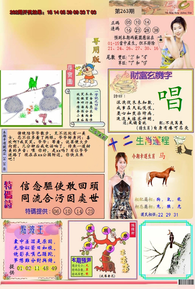 2024263期九龍专用版(推荐)