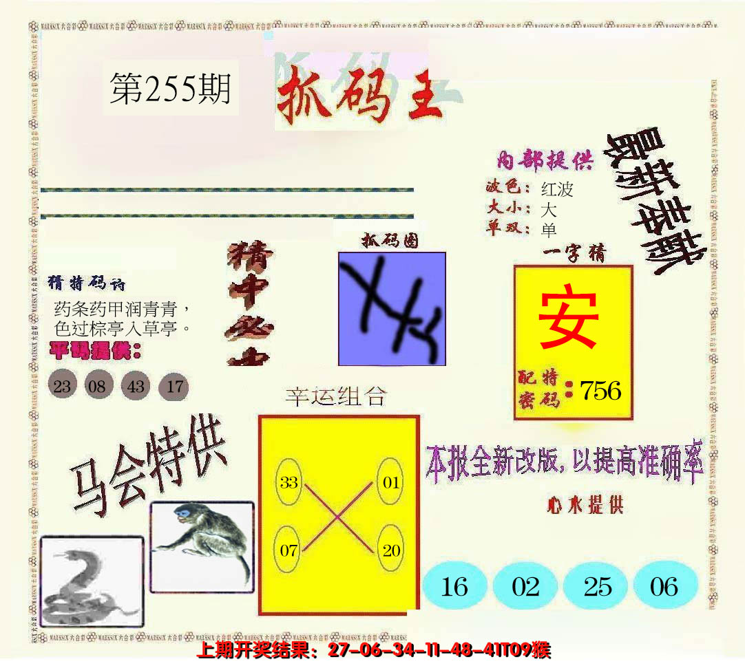 2024255期新抓码王