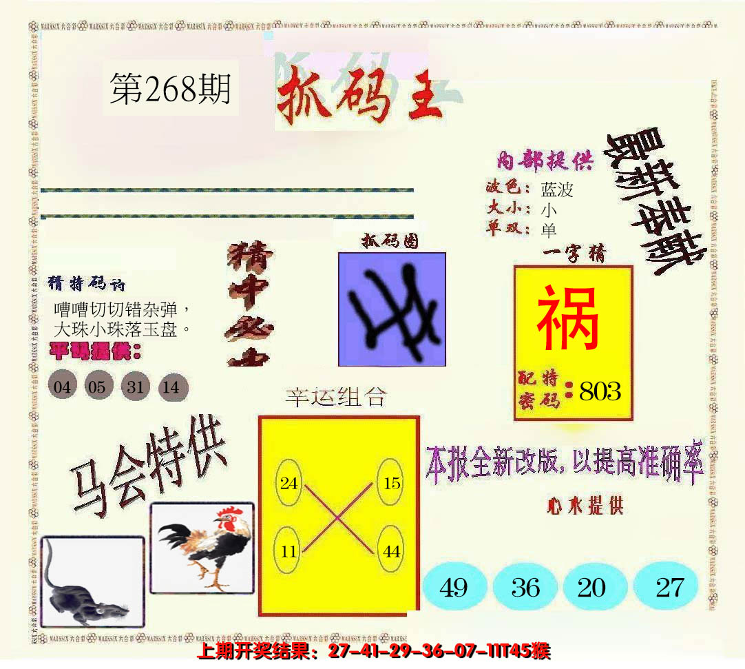 2024268期新抓码王