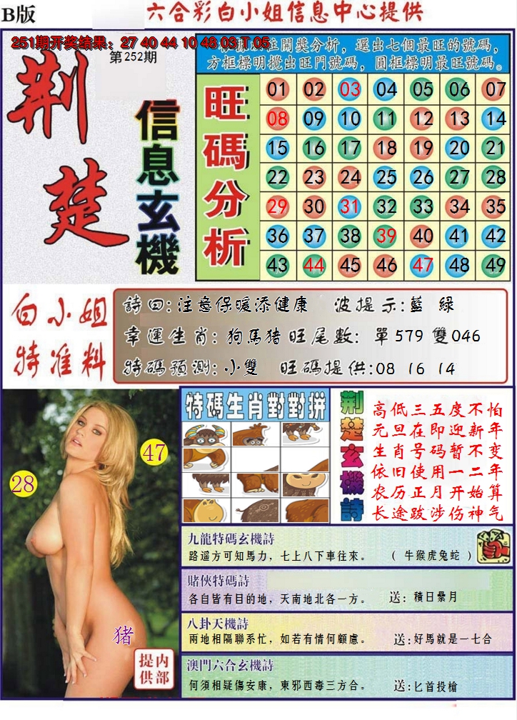 2024252期荆楚信息玄机B