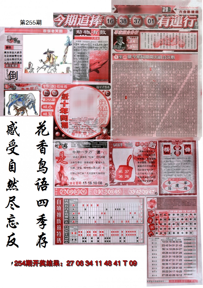 2024255期新六合精选B