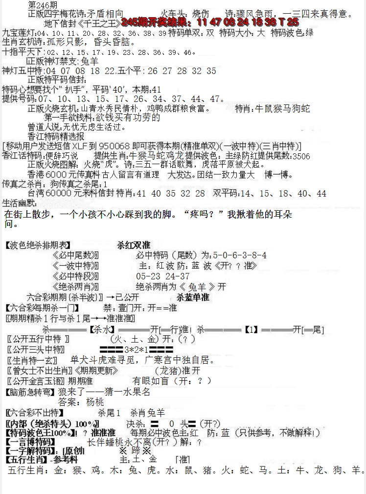 2024246期先锋总刚B