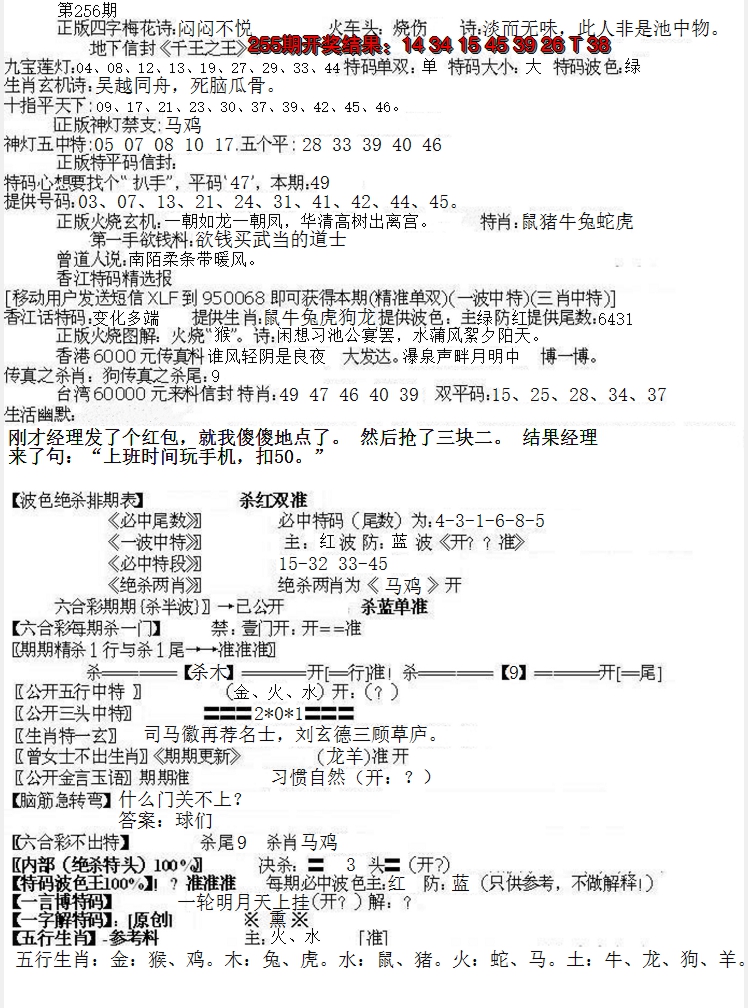 2024256期先锋总刚B