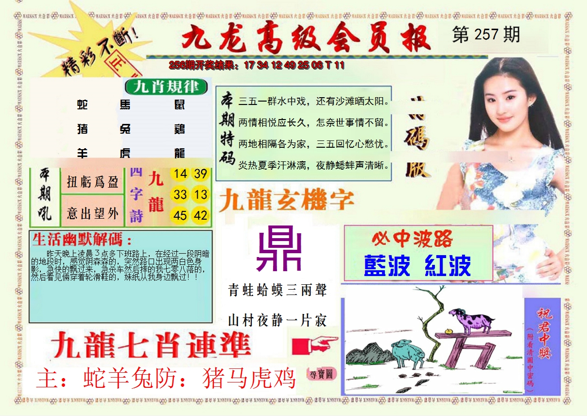 2024257期九龙高级会员报