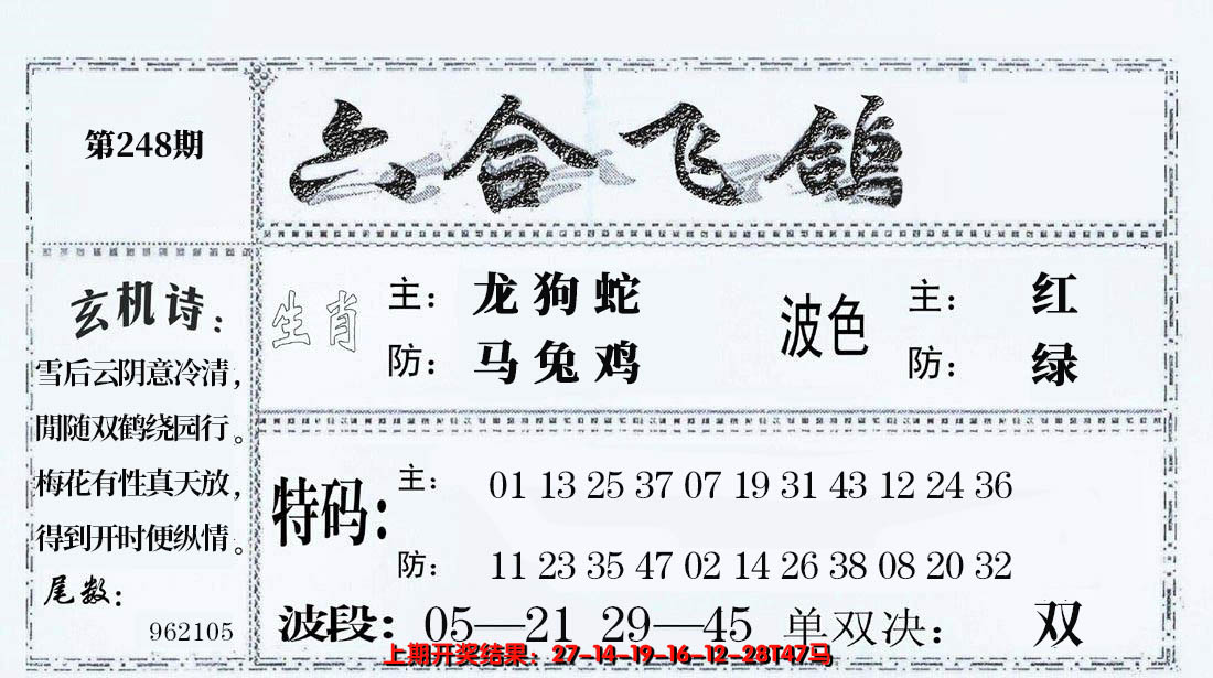 2024248期六合飞鸽