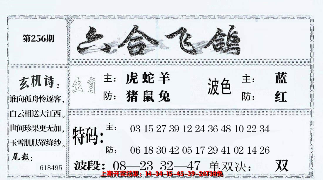 2024256期六合飞鸽