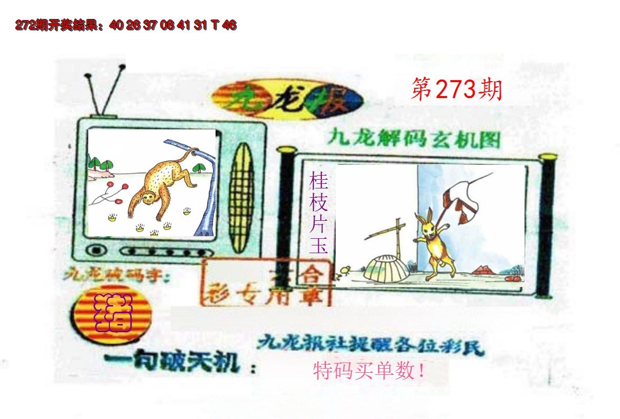2024273期九龙报