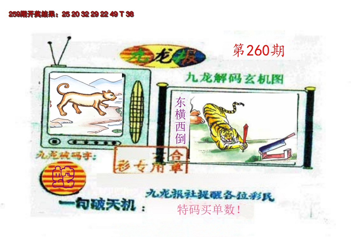 2024260期九龙报