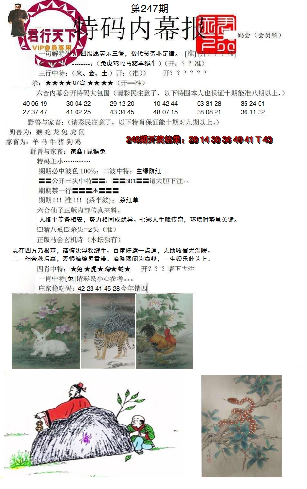 2024247期特码内幕报