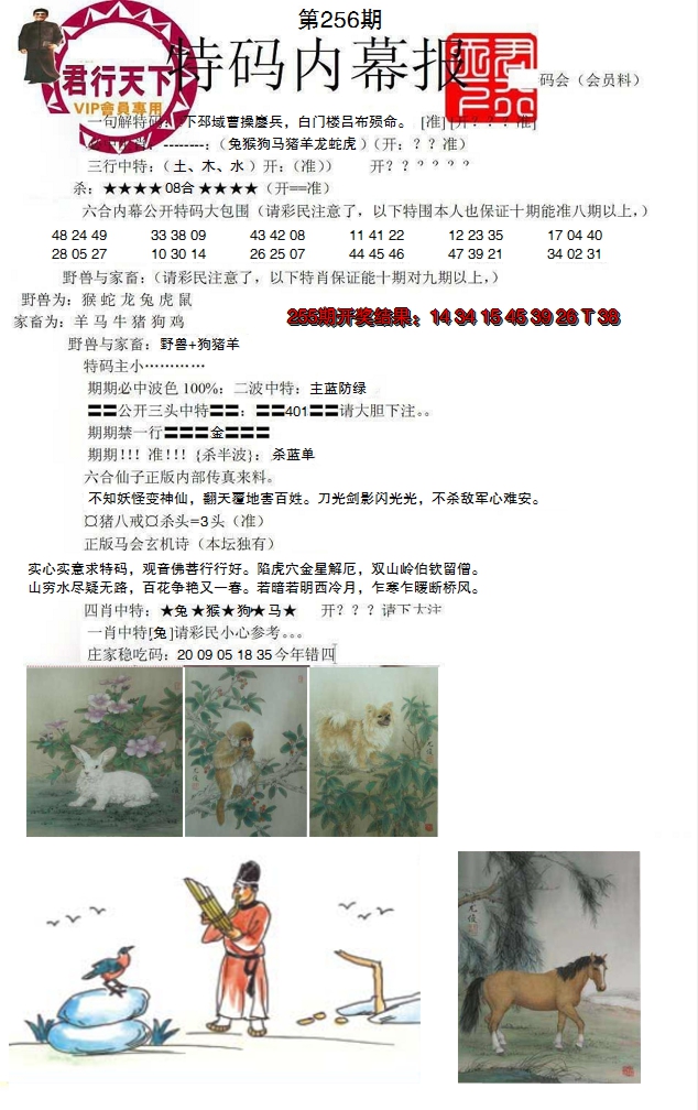2024256期特码内幕报