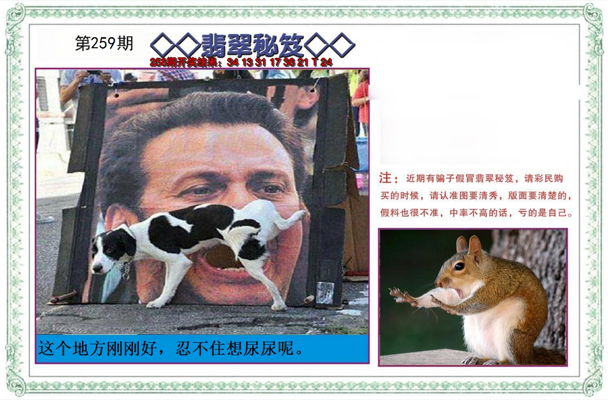 2024259期翡翠秘笈