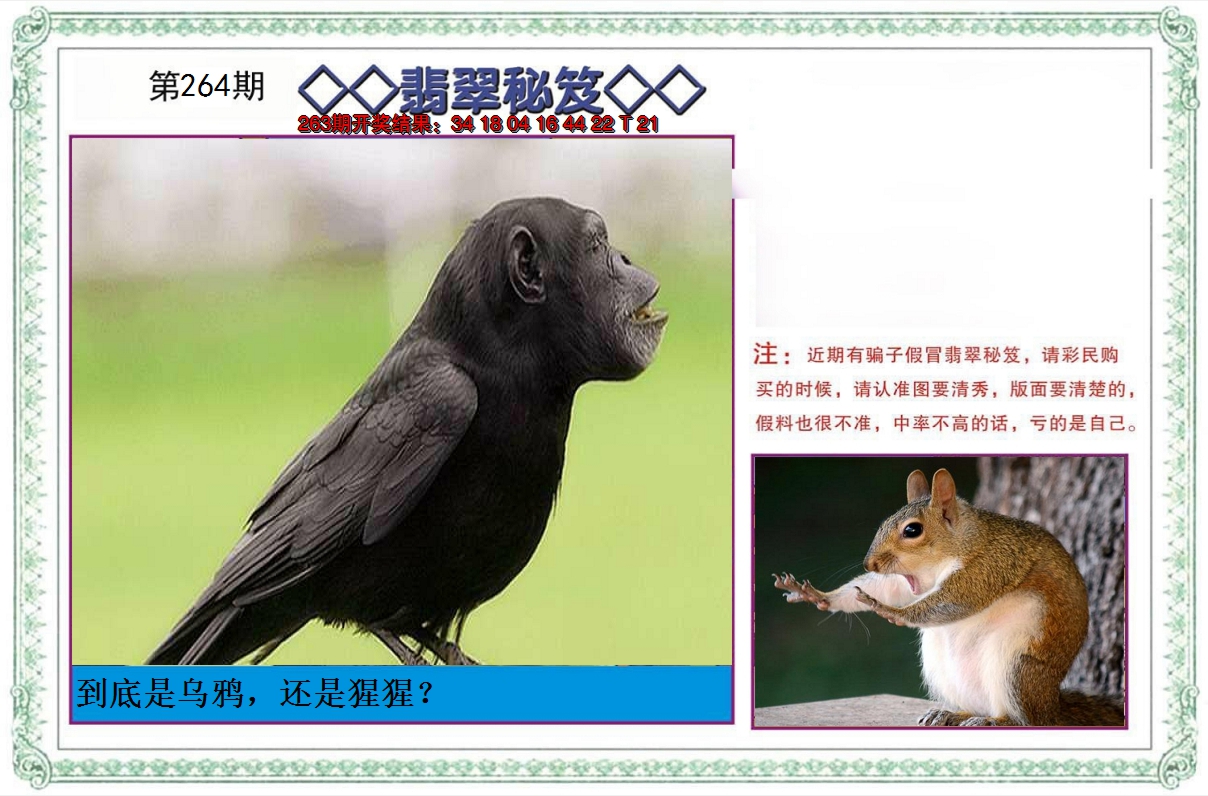 2024264期翡翠秘笈