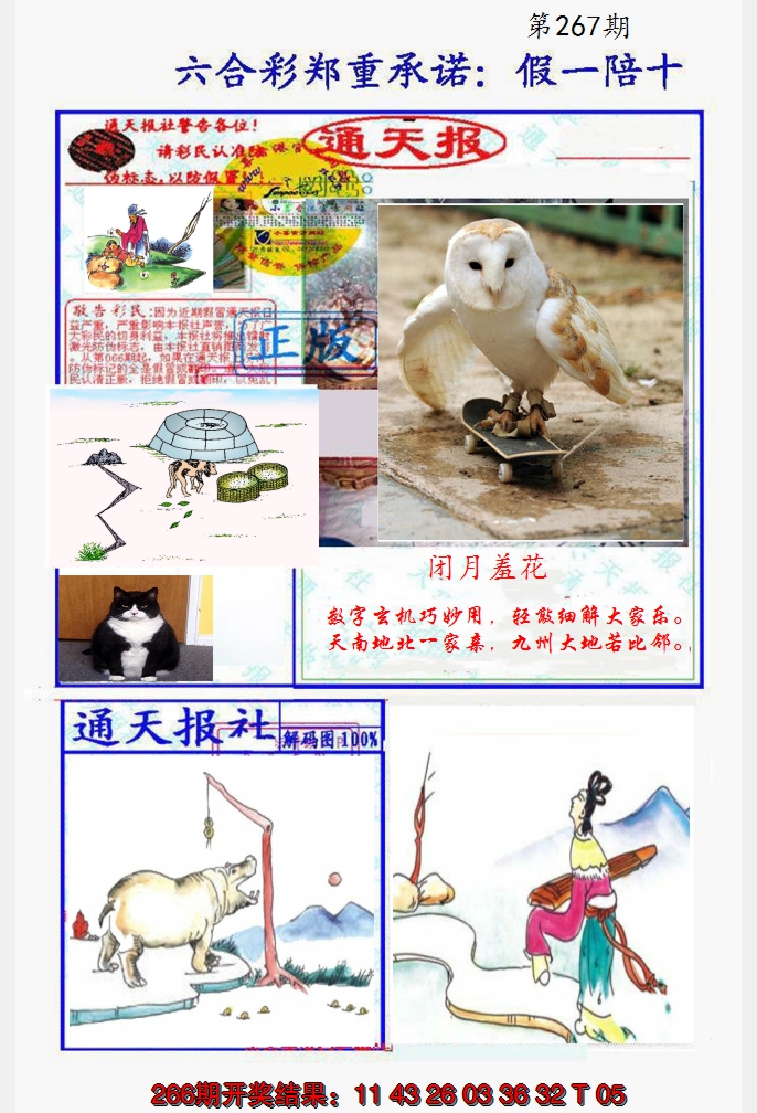 2024267期假一陪十通天报