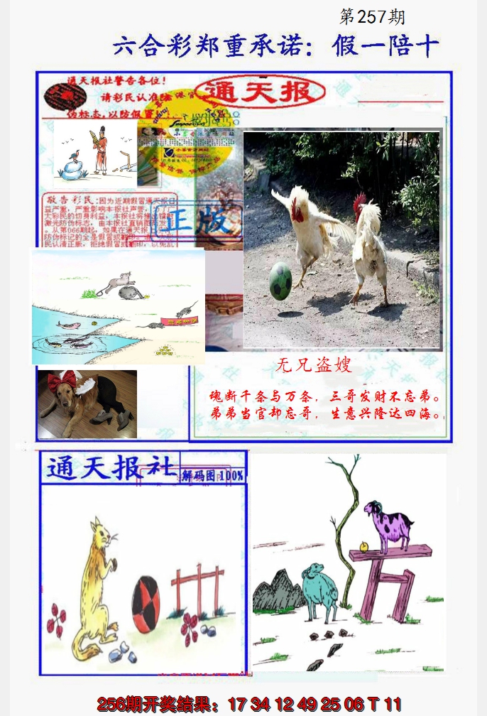 2024257期假一陪十通天报