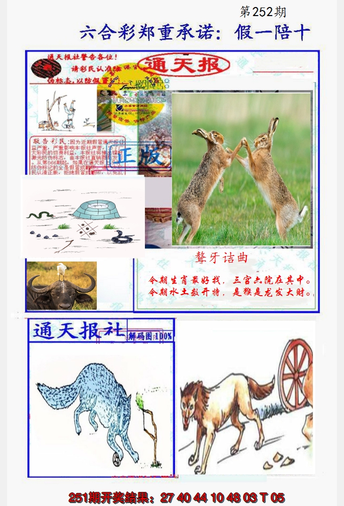 2024252期假一陪十通天报