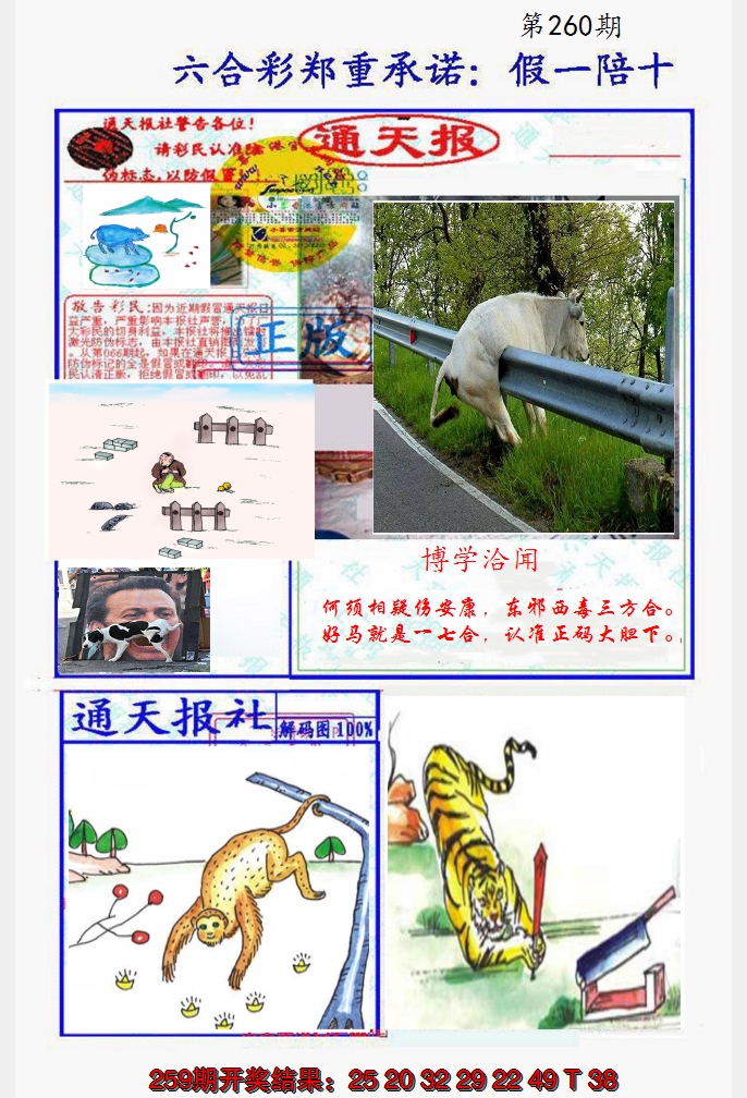 2024260期假一陪十通天报