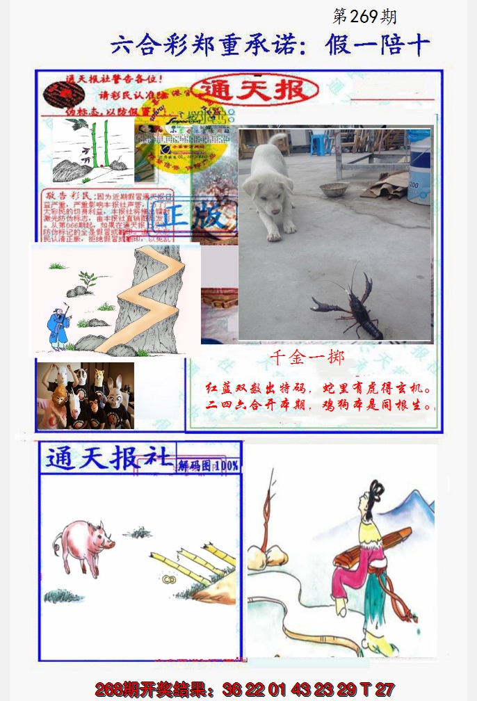 2024269期假一陪十通天报