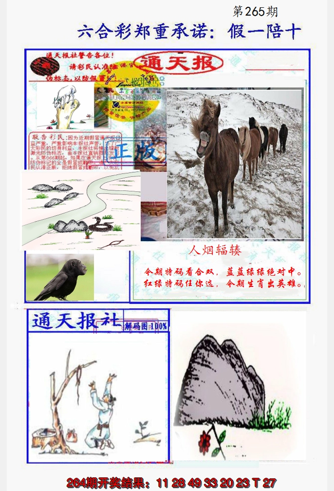 2024265期假一陪十通天报