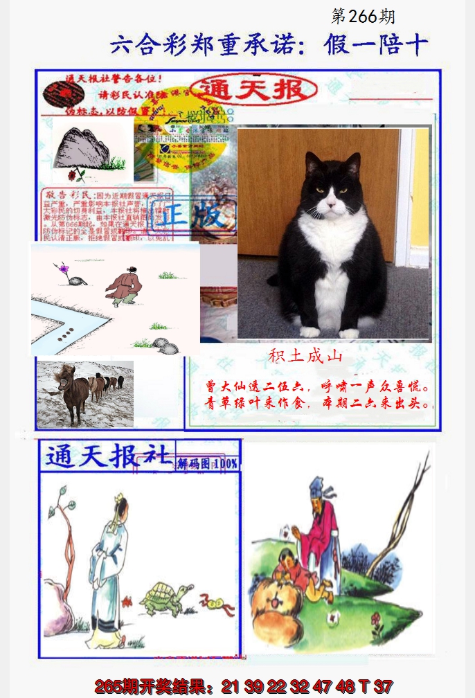 2024266期假一陪十通天报