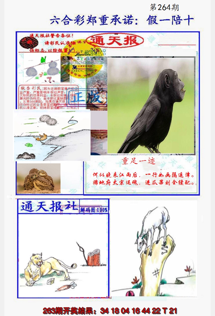 2024264期假一陪十通天报