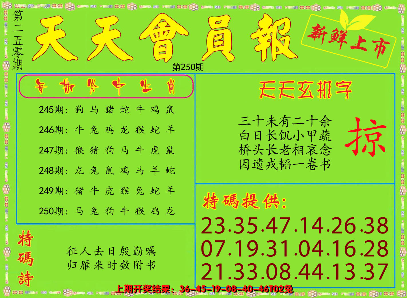 2024250期天天会员报