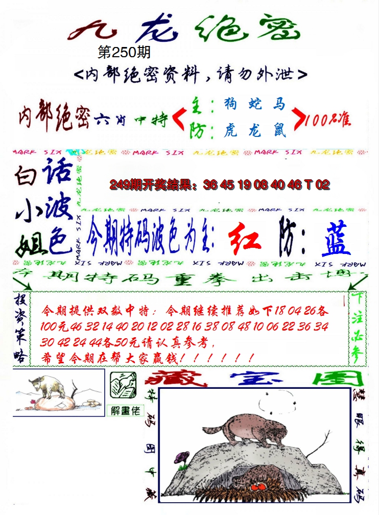 2024250期九龙密报