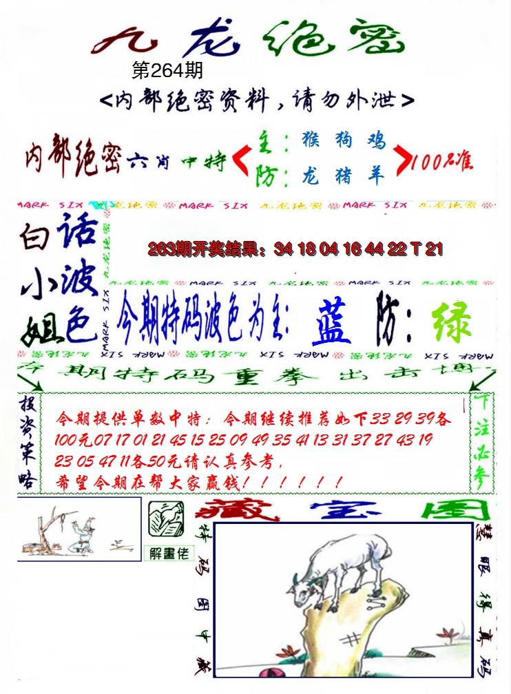 2024264期九龙密报