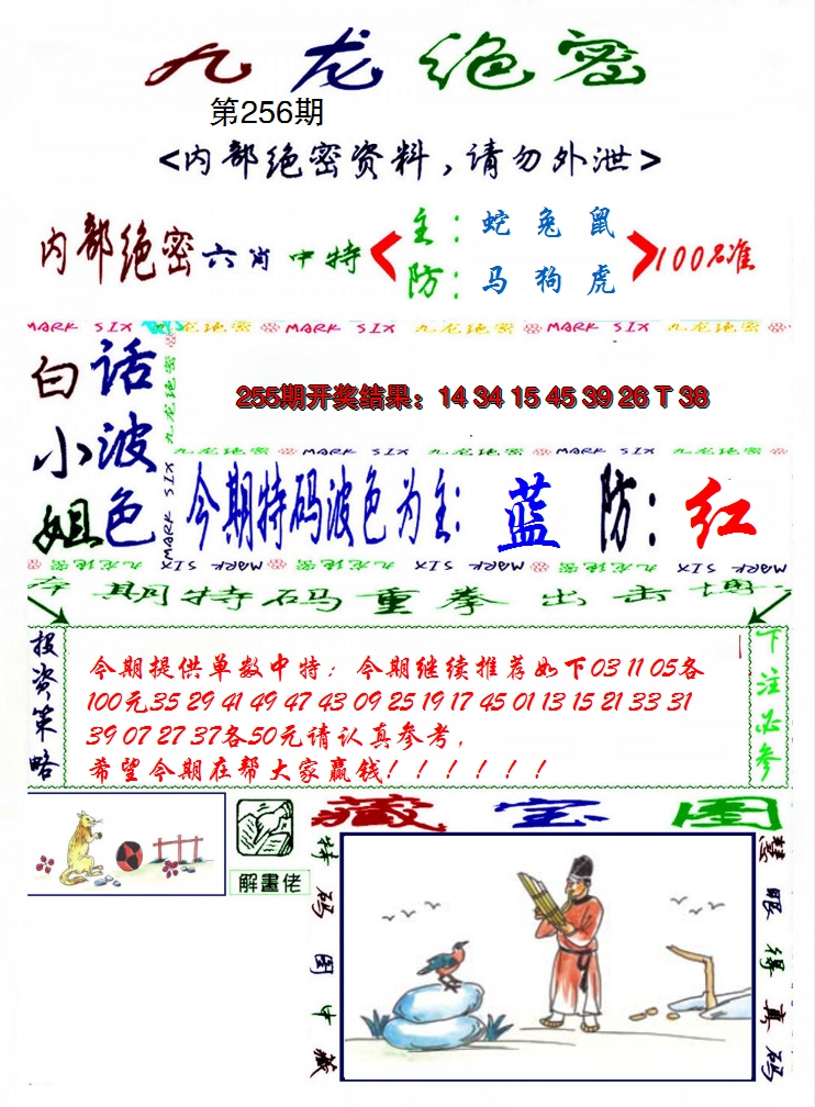 2024256期九龙密报