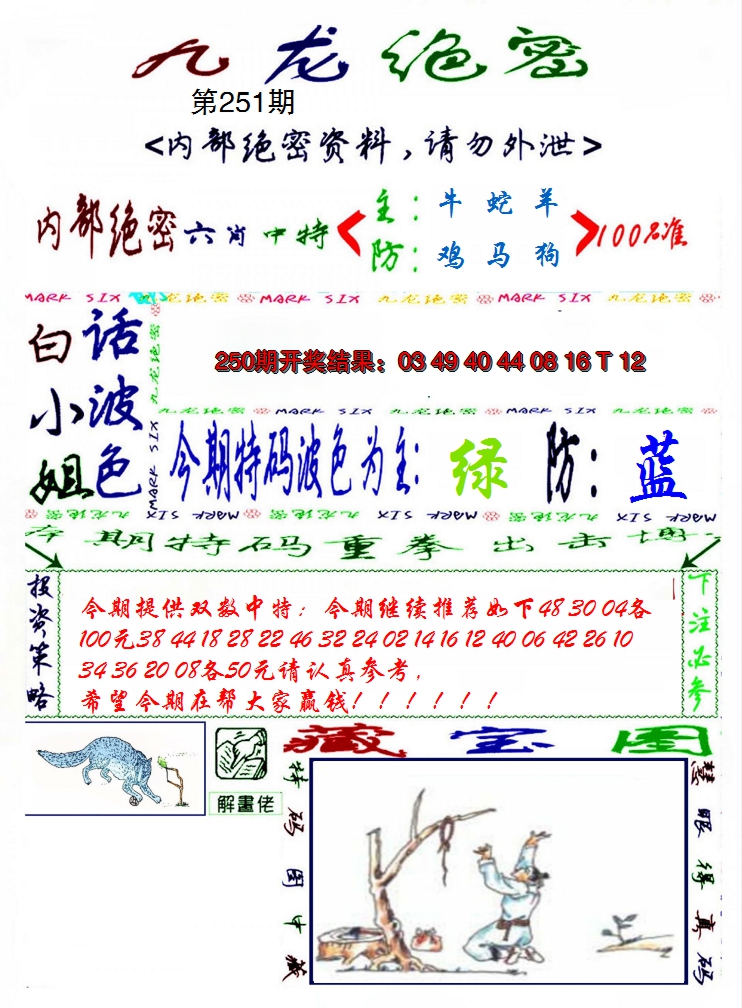 2024251期九龙密报