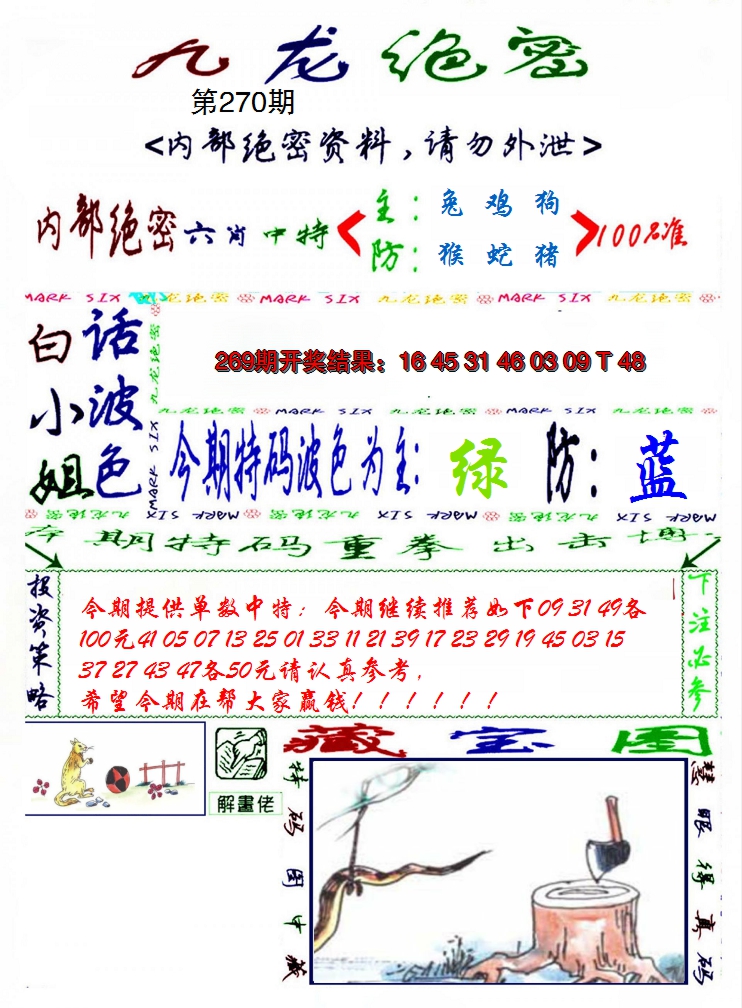 2024270期九龙密报