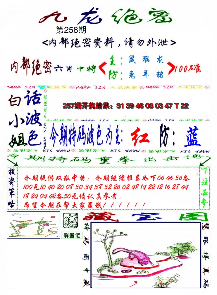 2024258期九龙密报