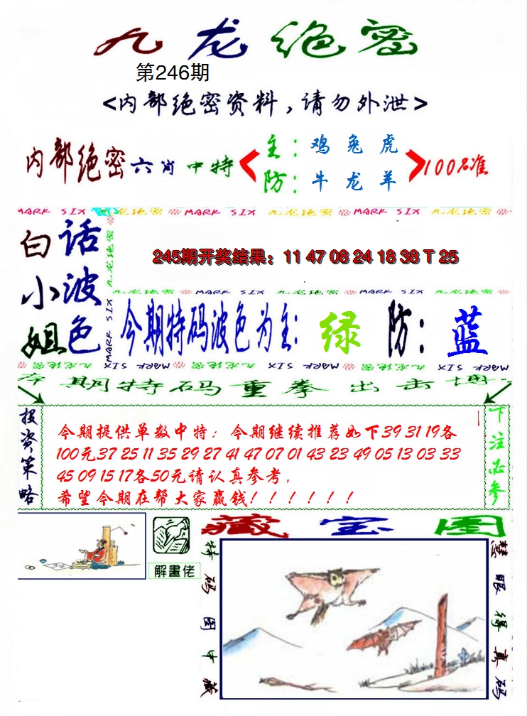 2024246期九龙密报